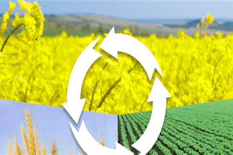 The Role of Crop Rotation in Sustainable Gardening: Preventing Soil Erosion