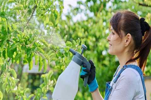 Exploring Sustainable Alternatives to Chemical Pesticides in Your Garden