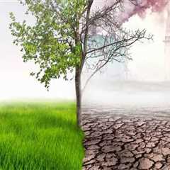 The Role of Tree Management in Mitigating Urban Noise and Air Pollution