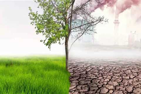 The Role of Tree Management in Mitigating Urban Noise and Air Pollution