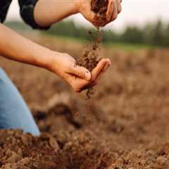 Effective Strategies for Enhancing Soil Fertility and Nutrient Management