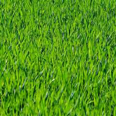 Sustainable Garden Practices and Lawn Mowing Costs in Northern VA