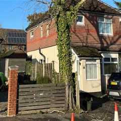 Identifying Tree Branch Hazards Near Power Lines