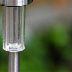 Illuminate Your Sustainable Miami Garden with Accent Lighting