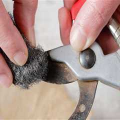 Essential Tips for Cleaning and Maintaining Your Pruning Shears for Optimal Garden Maintenance