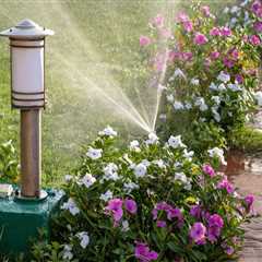 Optimal Timing for Watering Your Garden: A Guide to Effective Garden Maintenance