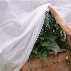 Effective Strategies for Protecting Your Garden from Extreme Weather