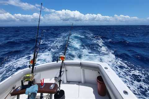 Charter Fishing and the Appeal of Active Waterfront Destinations