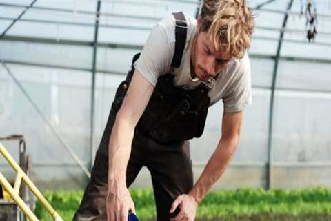 Essential Tools and Equipment for Successful Grape Farming