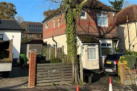 Identifying Tree Branch Hazards Near Power Lines