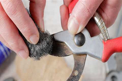 Essential Tips for Cleaning and Maintaining Your Pruning Shears for Optimal Garden Maintenance