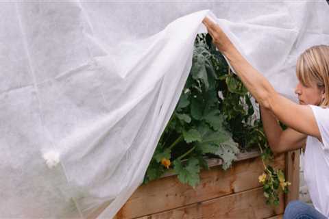 Effective Strategies for Protecting Your Garden from Extreme Weather