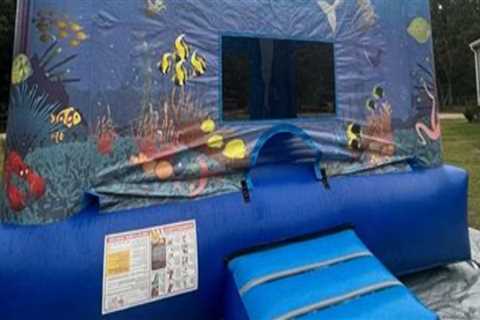 Creating Memorable Charter Fishing Trips With Bounce House Rental Additions