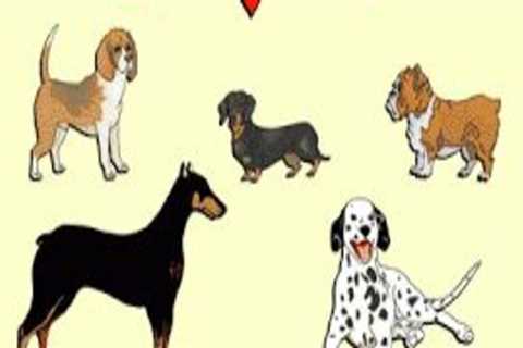 Understanding the Differences Between Artificial and Natural Selection in Animal Breeding