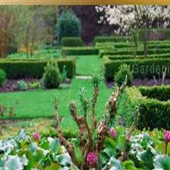 Exploring the Benefits of Ornamental Gardening for Your Home and Well-Being