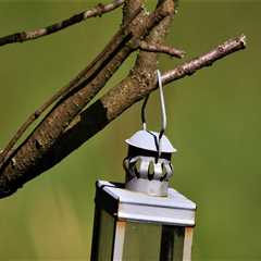 Enhance Your Outdoor Space with Tree Management & Lighting
