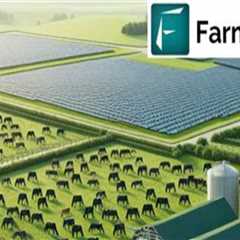 Understanding the Environmental Impacts of Dairy Farming