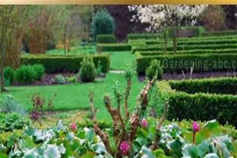 Exploring the Benefits of Ornamental Gardening for Your Home and Well-Being