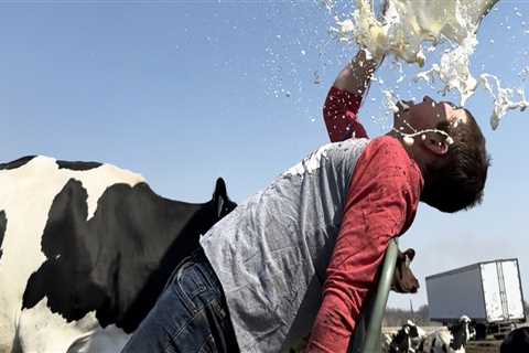 Effective Marketing Strategies for Dairy Farmers