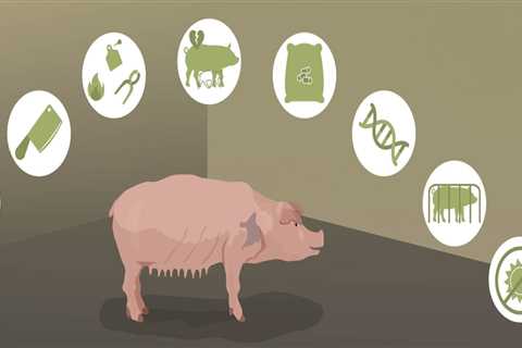 Exploring the Effects of Globalization on Animal Husbandry Practices