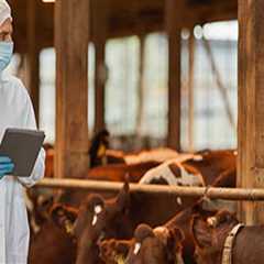 Essential Biosecurity Measures for Livestock Health Services