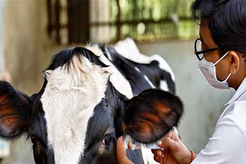 Understanding and Managing Common Behavioral Issues in Livestock for Better Health
