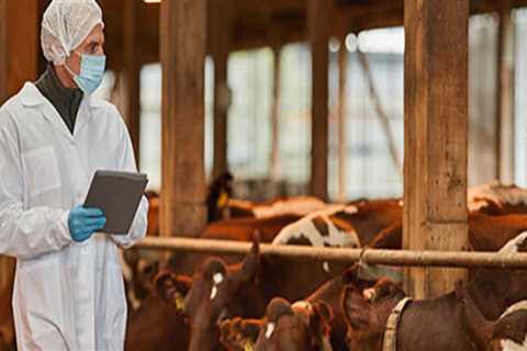 Essential Biosecurity Measures for Livestock Health Services