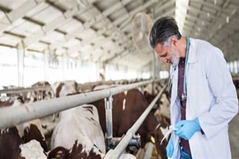 Essential Strategies for Preventing and Treating Common Eye Problems in Livestock